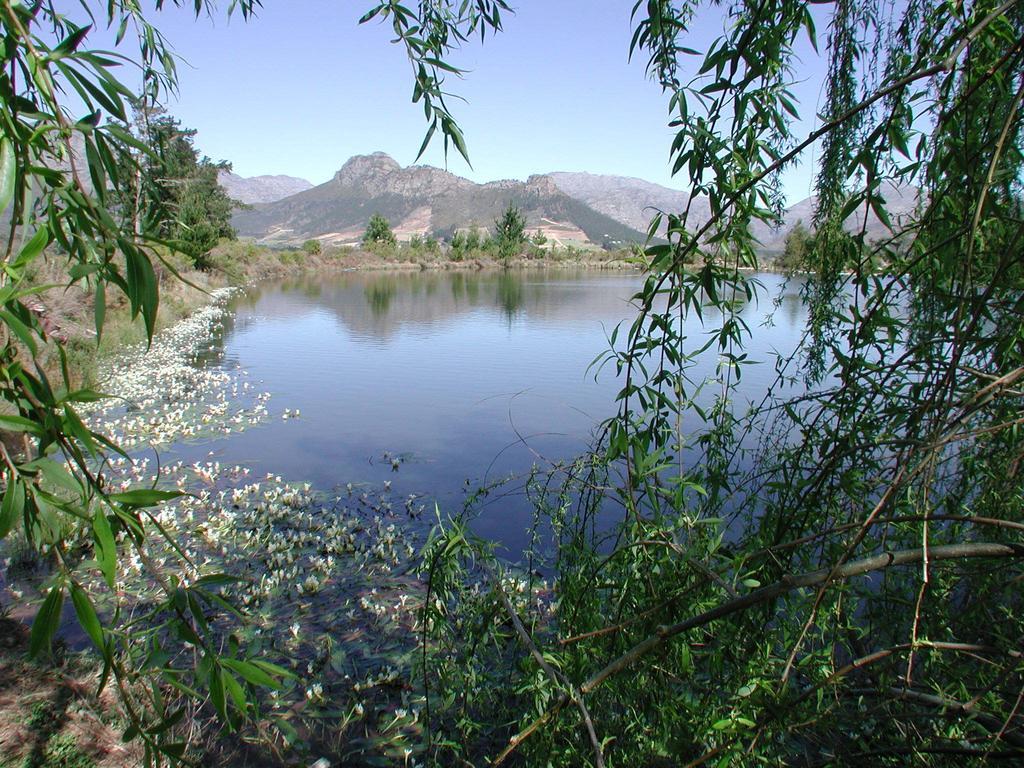 La Verdure Fruit Farm Franschhoek Ruang foto